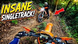 INSANE Forest Singletrack on a 300cc 2-Stroke! @TheDirtbikeRider