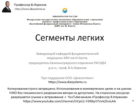 Сегменты легких. Лекция для студентов