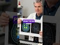 Yale Scientist Proves Buddhist No Self Theory