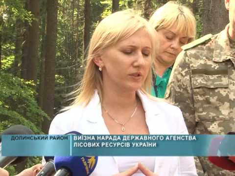 Виїзна нарада державного агенства лісових ресурсів України