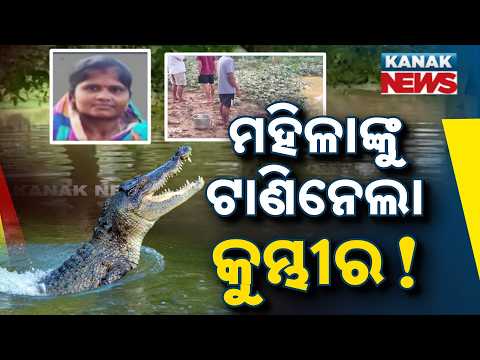 Crocodile Attack in Kendrapara | Woman Dragged into Brahmani River