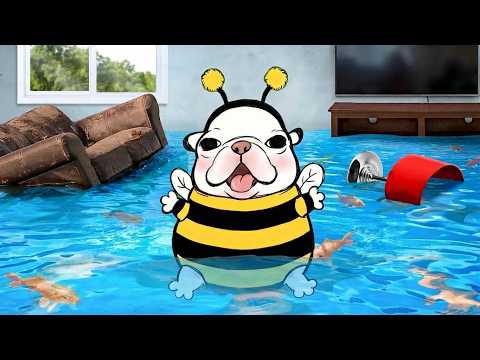 ¡Convertí mi casa en un acuario! | PIBBLECITO REACCIONA a Matthew Beem