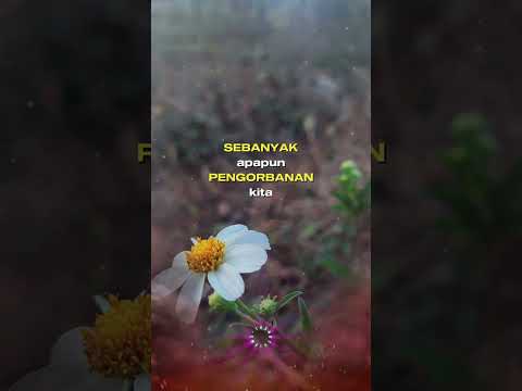 Pada ahkirnya #music #lyrics #love