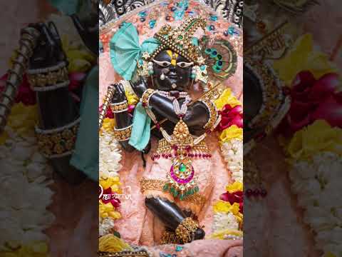 #vrindavanmarg #premanandjipravachan #bankebihari #radheshyamshringar #trending #radheshyam