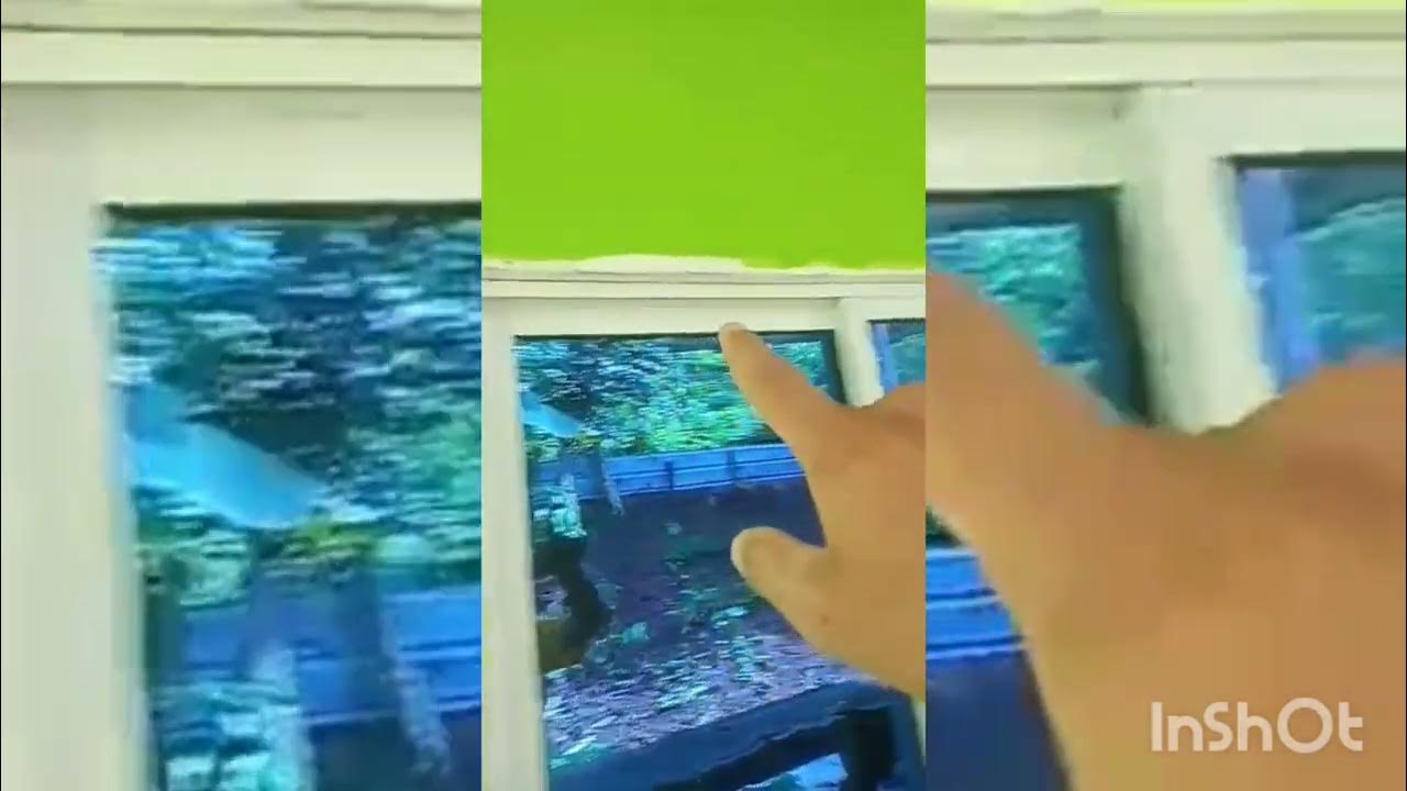 PUTTING PAINTMY HOUSE YouTube