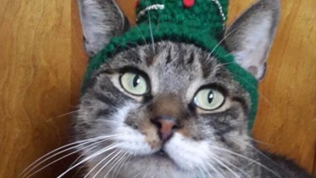 FOTO EPICHE COMPILATION #3