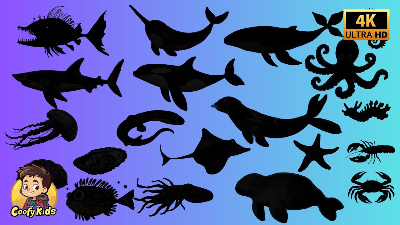 Guess the Shadow of the Sea Animals Quiz | Shadow Game| Learn Animals Video for Kids | Family Fun