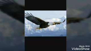 122 Sene Yan Yana Bjk Marşi