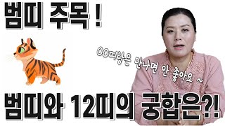 [용궁불사] 범띠와 12띠 궁합은??!  &quot;OO띠와는 궁합이 매우 좋아요!&quot;