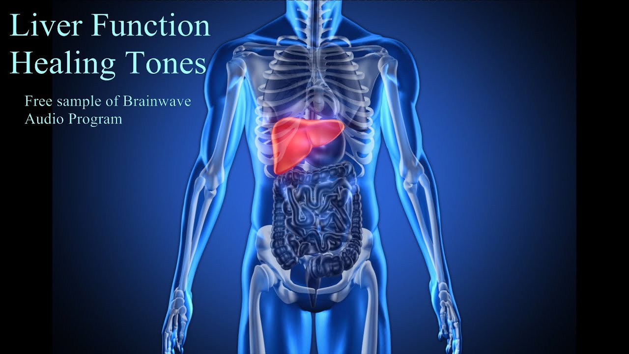 Liver Function Healing Tones - Free sample of Brainwave Audio Program