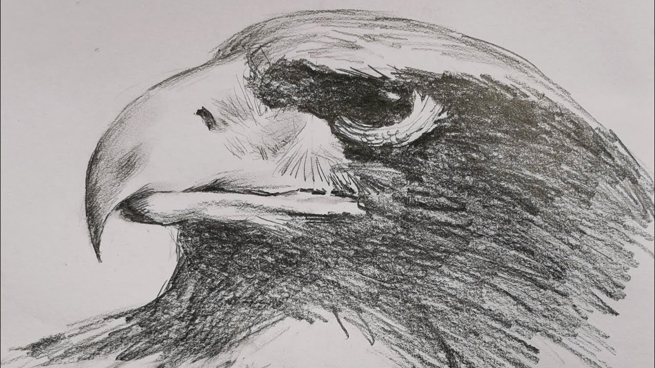 素描画2点 maxresdefault.jpg