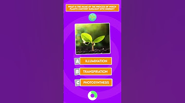 How Good is Your General Knowledge? Take This 50-Question Quiz To Find Out!