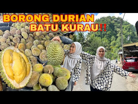 LUBUK DURIAN BATU KURAU YANG RAMAI TAK TAHU |  ROZEK BORONG DURIAN‼️