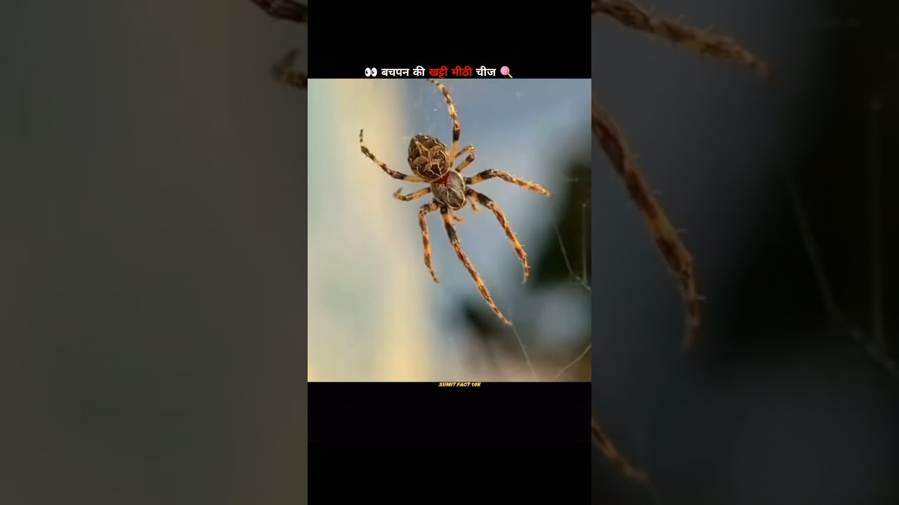 90's Favorite candy that we eat everyd 