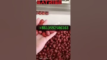 Date cleaning machine