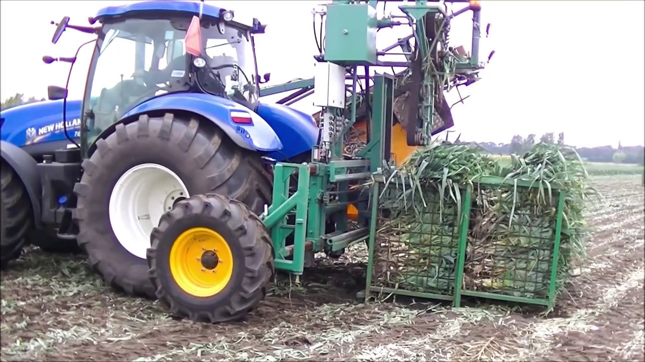 Prei rooien / Leek harvest / Lauch ernten / Baekelandt / New Holland / Agriculture / Preioogst