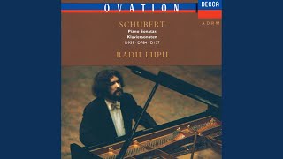 Schubert: Piano Sonata No. 20 in A Major, D. 959: II. Andantino