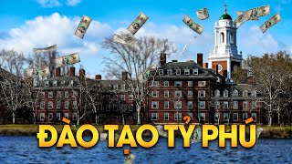 Những Trường Đại Học Danh Giá Và Đắt Đỏ Nhất Thế Giới | Giới Thượng Lưu