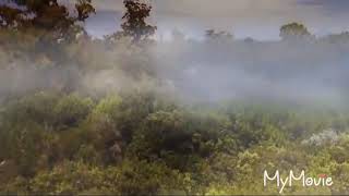 Mientes Soy Luna Luna Matteo?? Suscribite Y Haz Clic A La Campanita