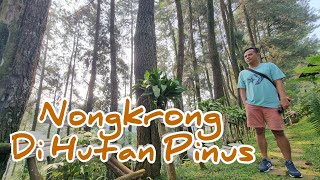 Nongkrong Di Kafe Alam Hutan Pinus Puncak