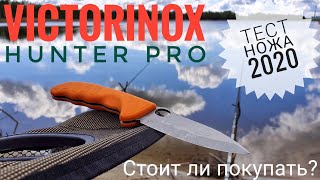 картинка: Victorinox HUNTER PRO - тест складного ножа охотника.  Викторинокс обзор ножа. EDC?