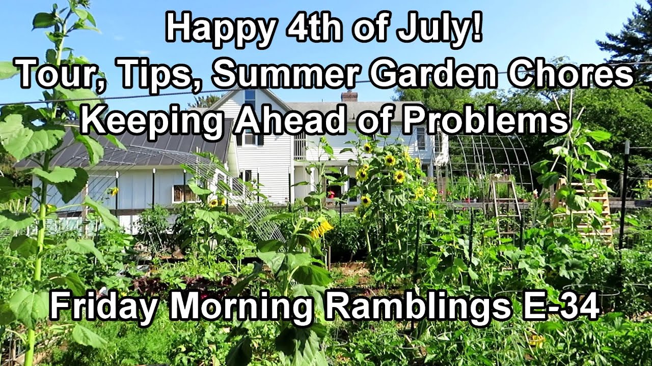 No 'Worry' Signs of Pest or Disease & How I Manage Crazy Summer Growth: My FM Garden Ramblings E-34