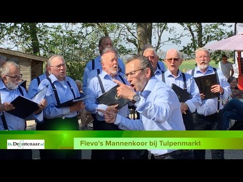 VIDEO | Flevo’s Mannenkoor bij tulpen voor ’t eerst met bretels: „Geweldige happening”