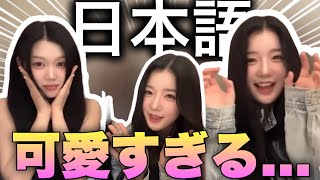 【可愛すぎ注意】ユヨンとユビンが話す日本語が可愛すぎる...【tripleS 日本語字幕】 SIGNAL Live 240717