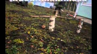 Kenttäkisat Video By Jensei