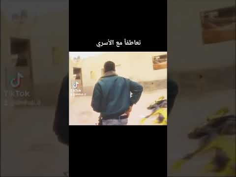 هيبه كل الكون