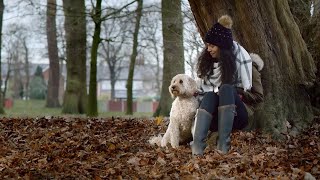Product Branding TV Commercial for Harringtons Dog Food - 30 second edit