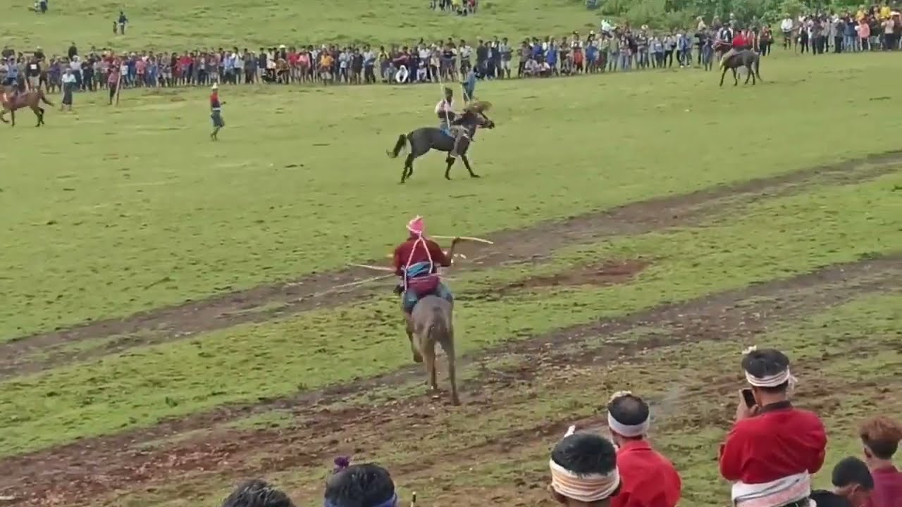 Pasola adat istiadat sumba barat daya 2024 #viralvideo