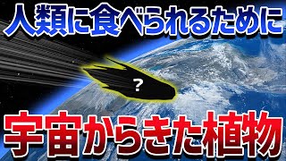 人間の助けなしには育つことすらできず祖先もいない宇宙からやってきた謎過ぎる植物【ゆっくり解説】