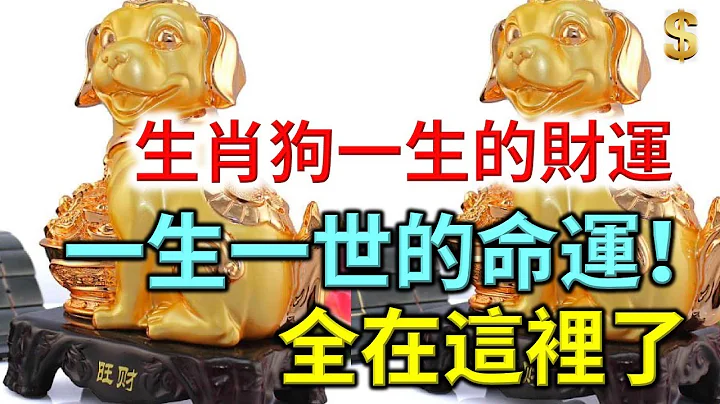 生肖狗一生的财运，一生一世的命运！ - 天天要闻