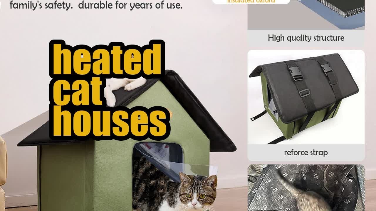 Review Best Outdoor Cat House for Winter   Insulated Heated Shelter