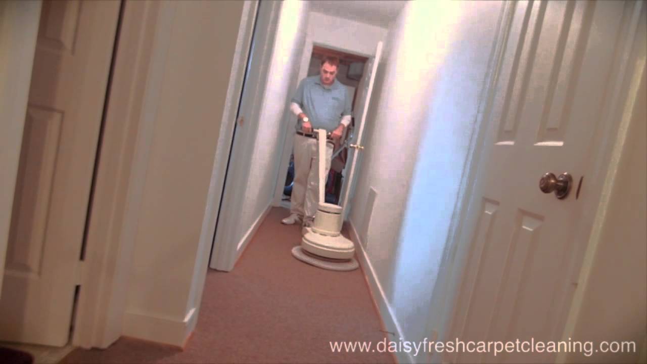 Daisy Fresh Carpet Cleaning Video Metro Washington D.C. Carpet