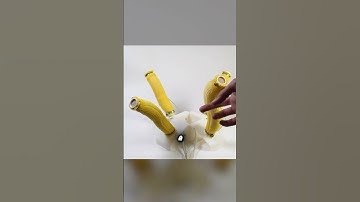 MIT’s Mind-Blowing Soft Robotics Breakthrough! 🤖🔥