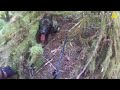 Snohomish County K9 tracks bear-mace-weilding suspect through the woods