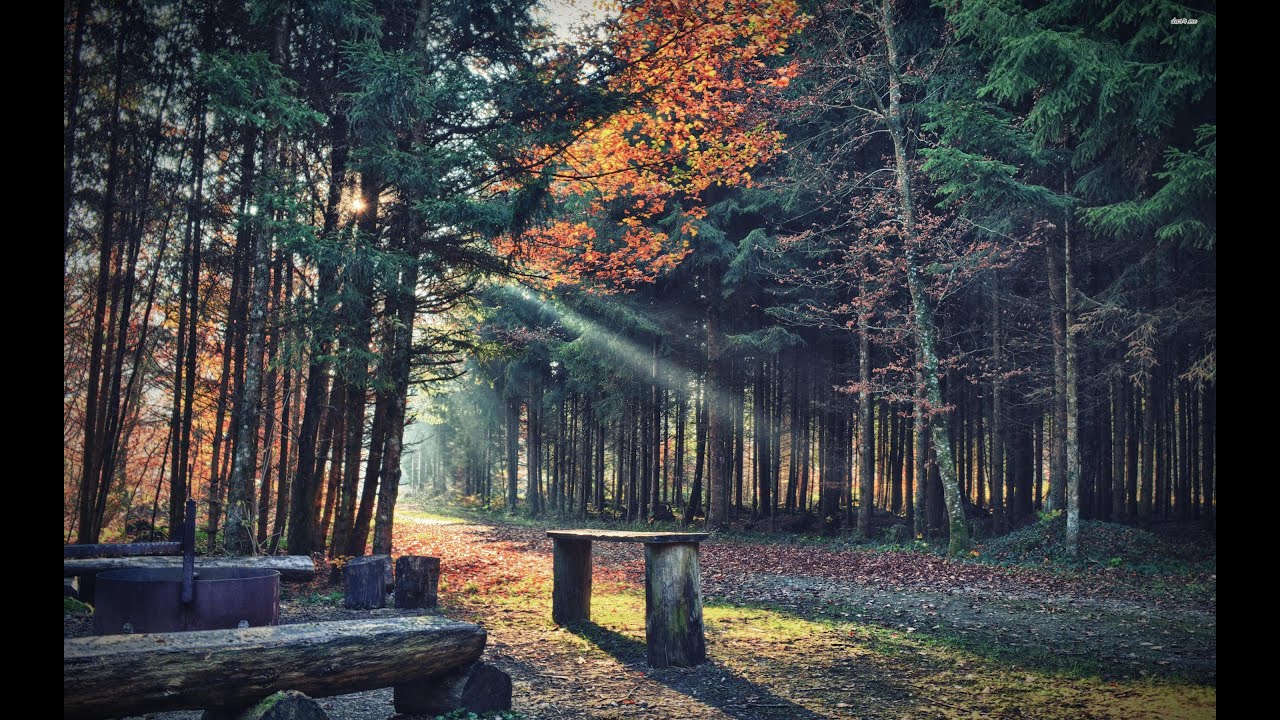 Guided Meditation - January 22, 2026