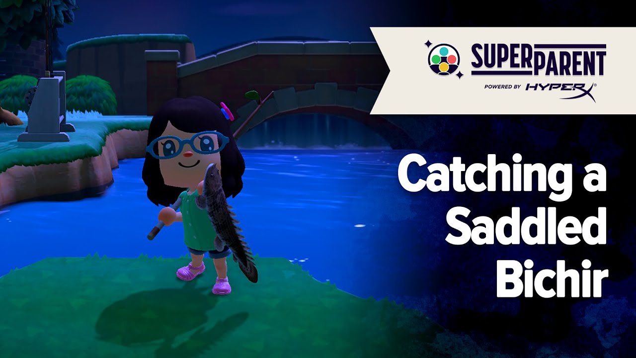 Animal Crossing New Horizons Catching a Saddled Bichir YouTube