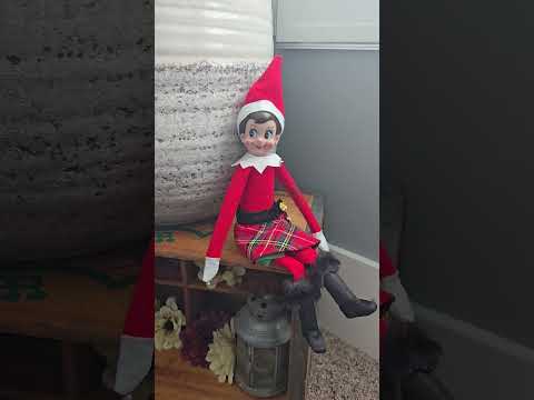 Elf Hunt Series Begins Day 3🎁 #elfontheshelf #elfhunt #trending #viral #rebornoriginal #rebornmommy
