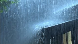 Reiner starker Regen im Garten mit grollendem Donner und Regengeräuschen zum Einschlafen