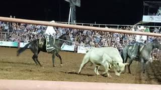 Bull riding at Elk,city Oklahoma
