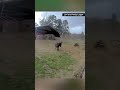Donkeys escape as part of barn is swept away by tornado threat in Missouri