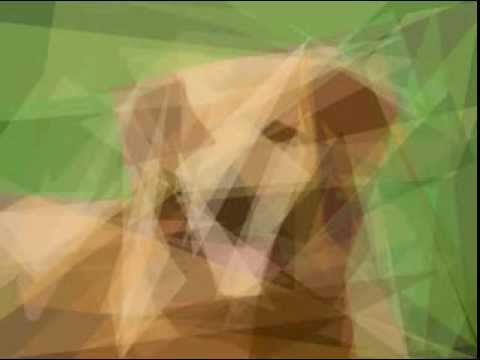 Dog Image Created with Genetic Algorithm