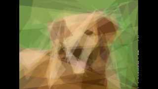 Dog Image Created with Genetic Algorithm Wealth