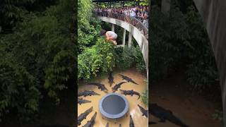 猜猜这是 AI or 真人？ #零度解说 #AI #短视频