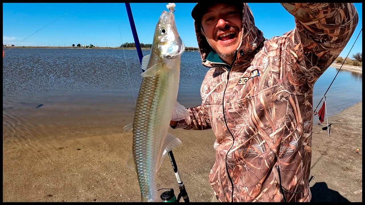PESCA DE PEJERREY - EN ESTA LAGUNA ESTAN LOS PEJERREYES MAS GRANDES