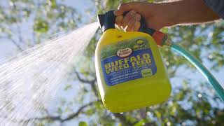 The Garden Gurus - Lawn Feeding & Pest Control