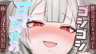 セラCh.【PROMISU】の配信のサムネイル画像